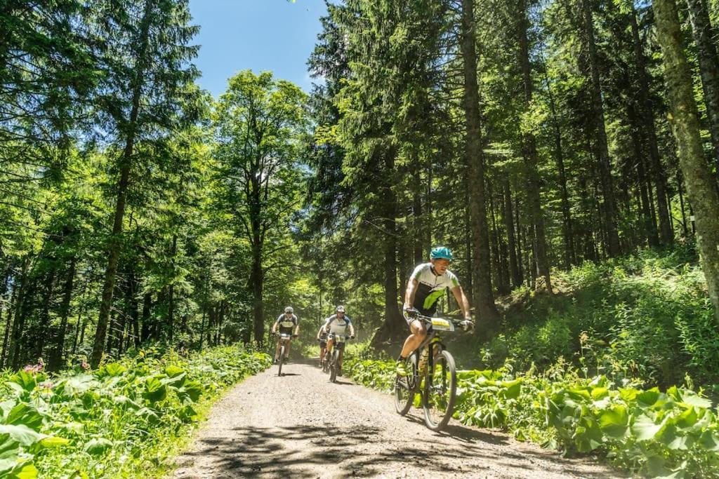 Апартаменти Sieben Tannen Titisee + Hochschwarzwald Card Екстер'єр фото