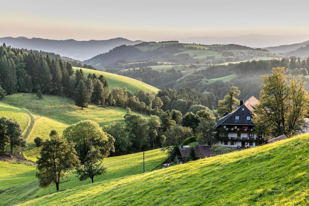 Апартаменти Sieben Tannen Titisee + Hochschwarzwald Card Екстер'єр фото