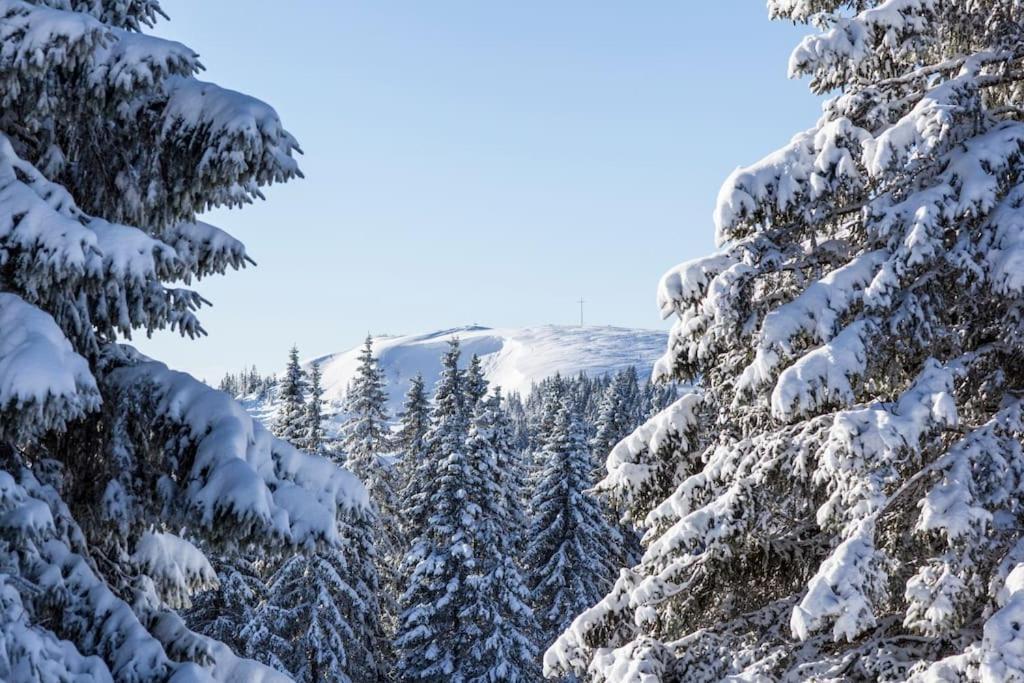 Апартаменти Sieben Tannen Titisee + Hochschwarzwald Card Екстер'єр фото
