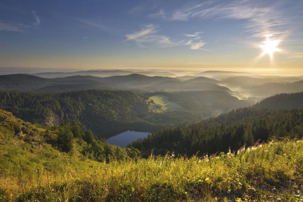 Апартаменти Sieben Tannen Titisee + Hochschwarzwald Card Екстер'єр фото
